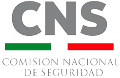 CNS